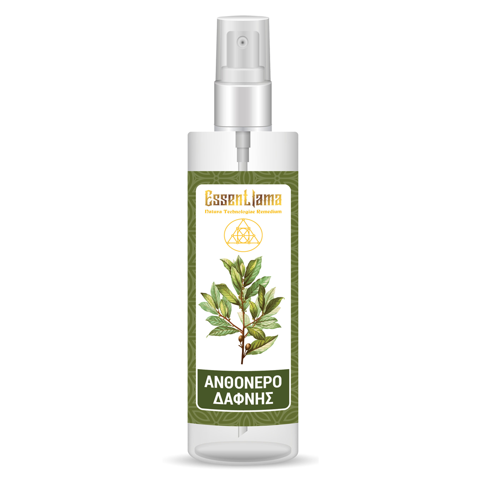 HYDROSOL LAURUS NOBILIS