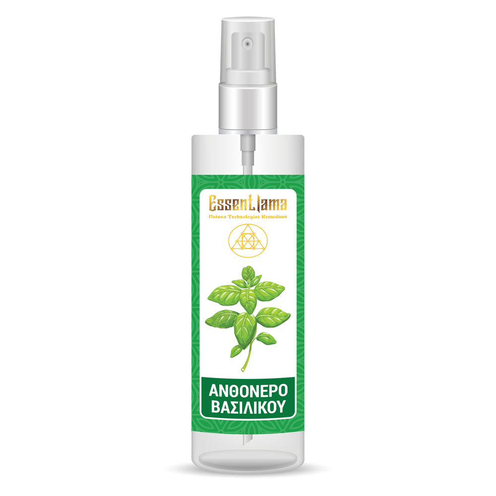 HYDROSOL OCIMUM BASILICUM